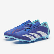 Gallery_5