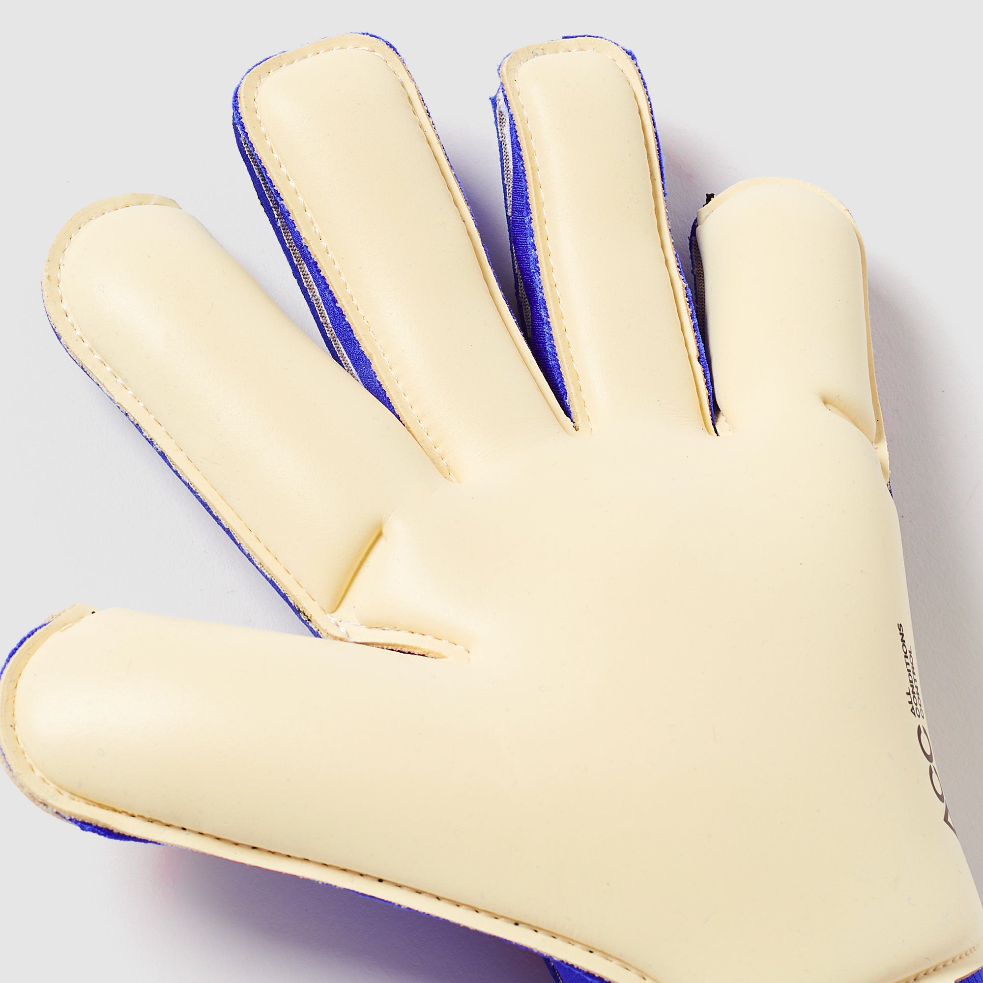 Gallery_4