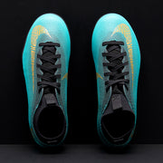 Gallery_5