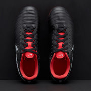 Gallery_5