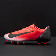 Gallery_1