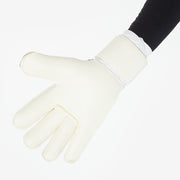 Gallery_2