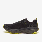 Gallery_1