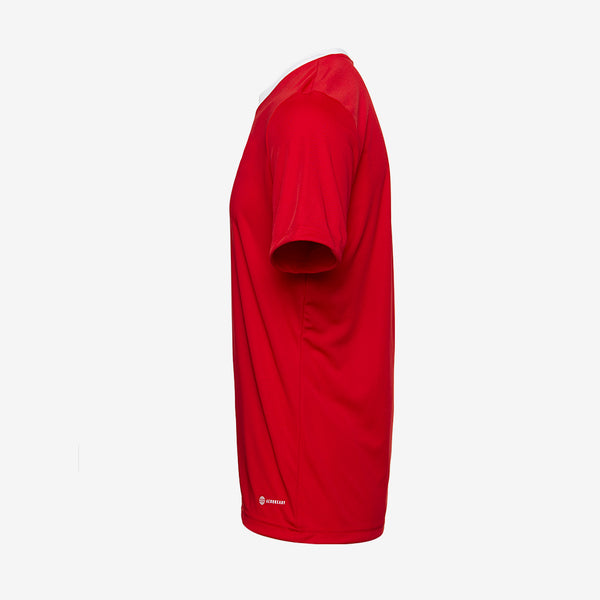 Gallery_2