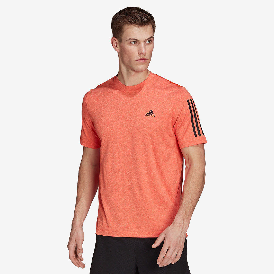 Main