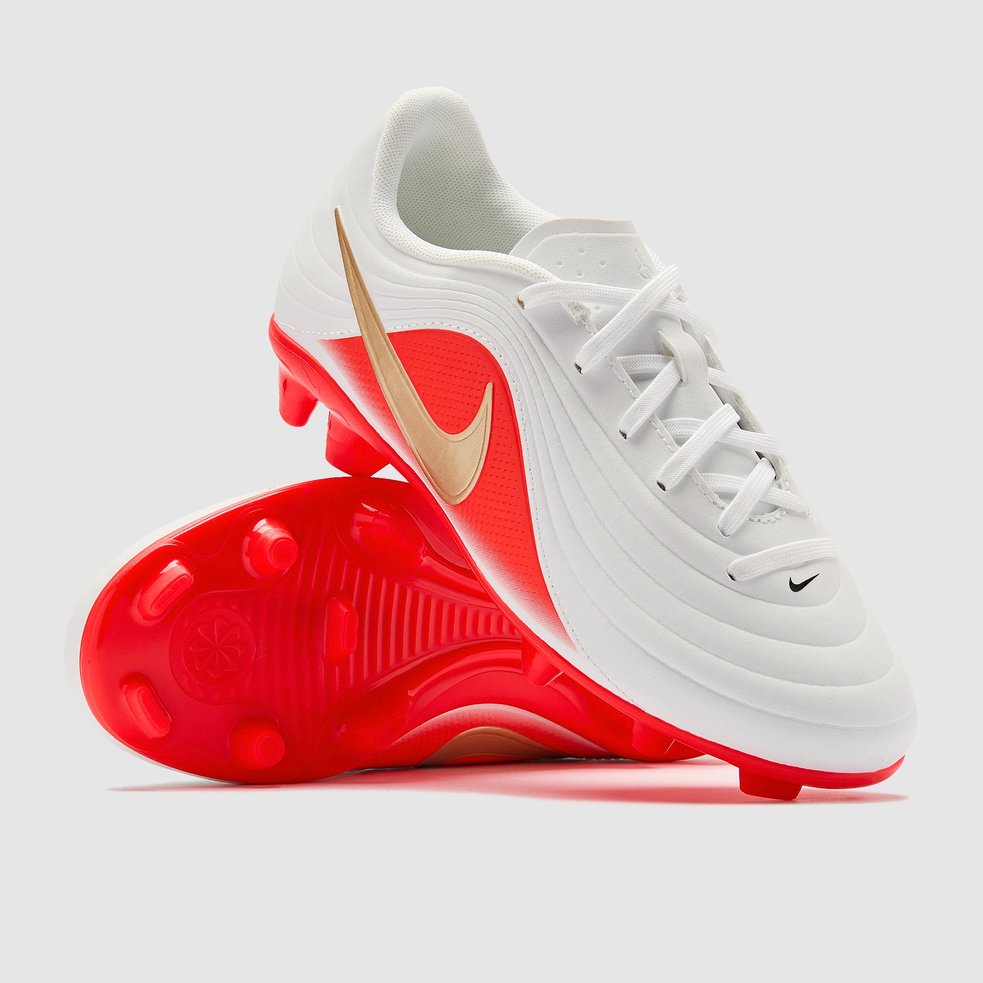 MAIN