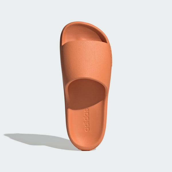 Gallery_2